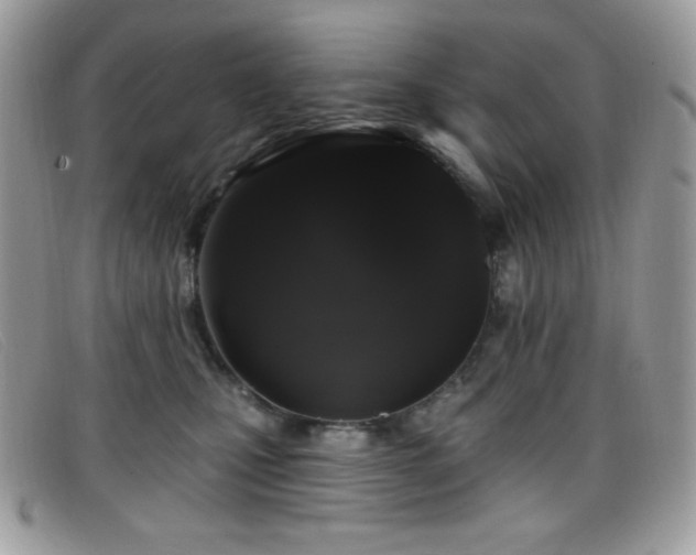 X0000099300471200805021235