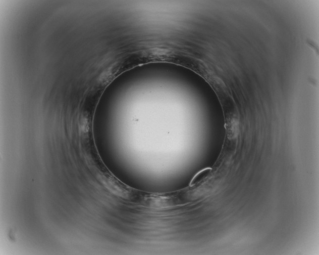 X0000099300472200805021235