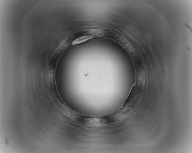 X0000099300473200805021235