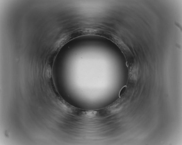 X0000099300474200805021235