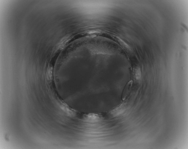 X0000099300475200805021235