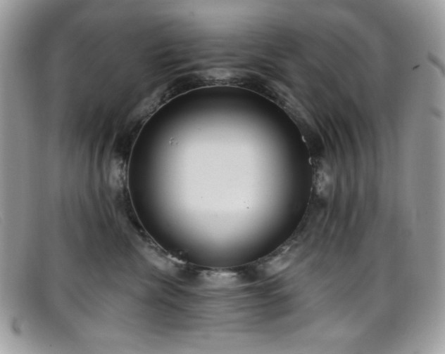 X0000099300476200805021235