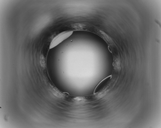 X0000099300477200805021235