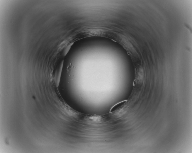 X0000099300478200805021235