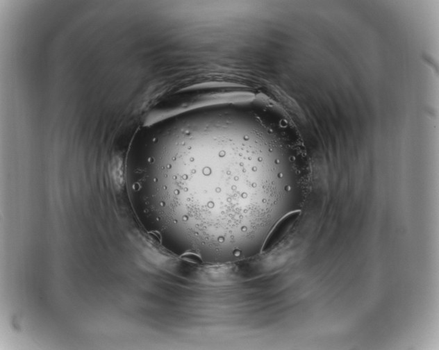 X0000099300479200805021235