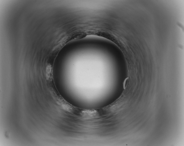 X0000099300480200805021235