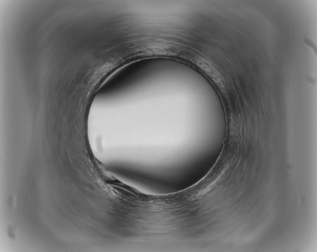 X0000099300481200805021234