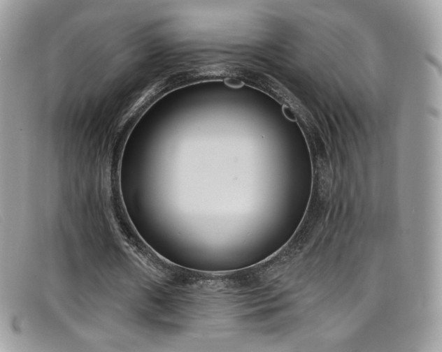 X0000099300482200805021234