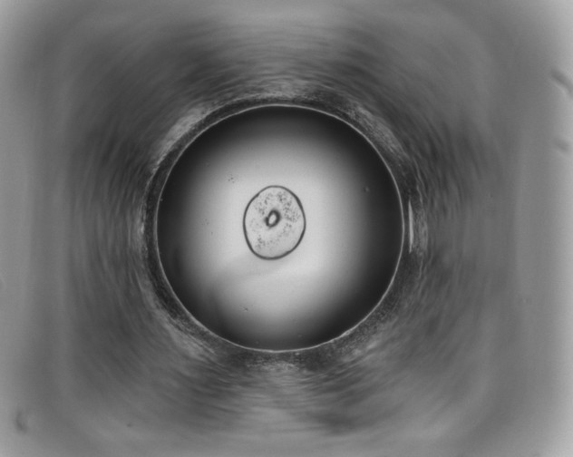 X0000099300483200805021234