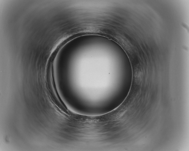 X0000099300484200805021234