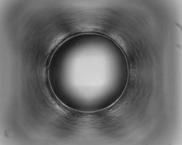 X0000099300485200805021234