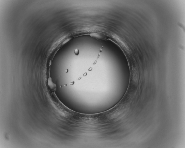 X0000099300486200805021234