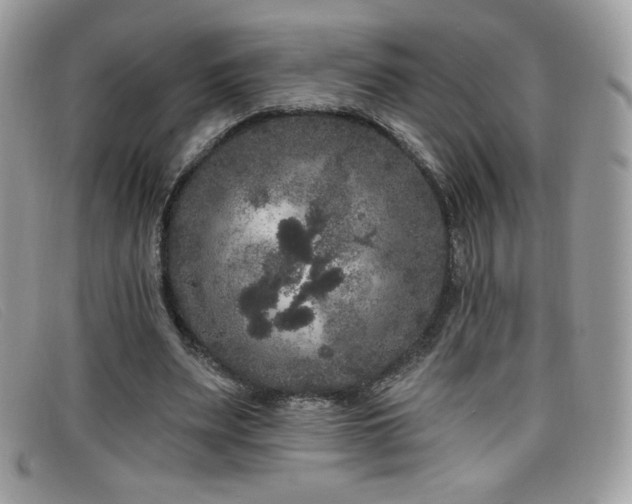 X0000099300487200805021234