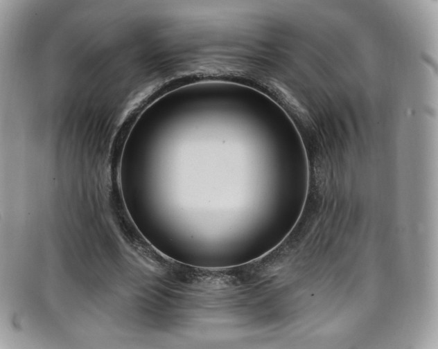 X0000099300488200805021234