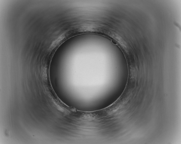 X0000099300489200805021234