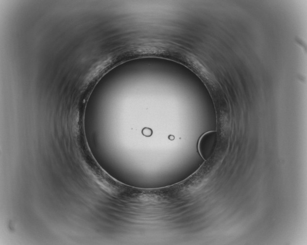 X0000099300490200805021234