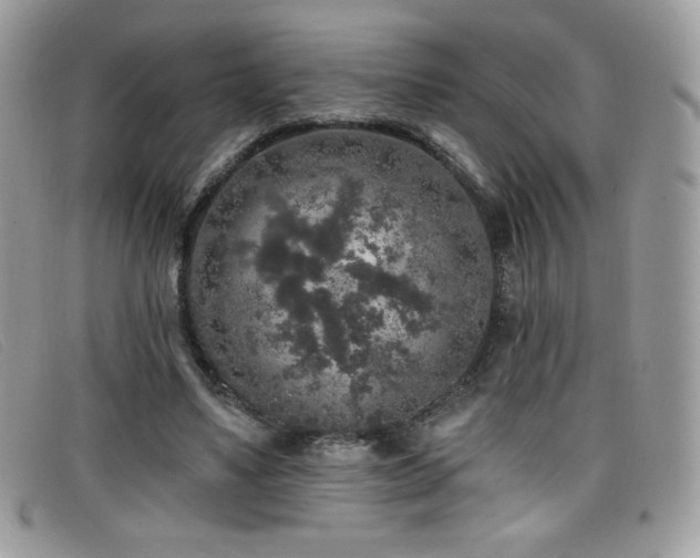 X0000099300491200805021234