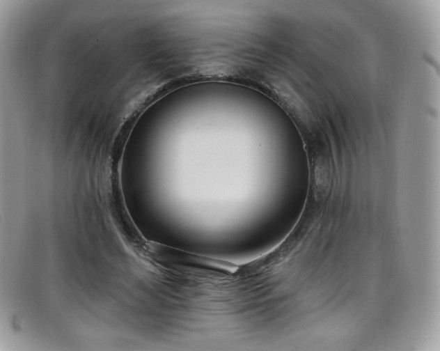 X0000099300492200805021234