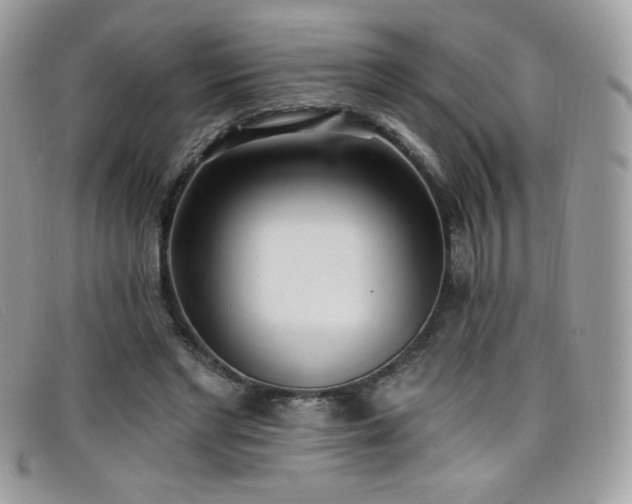 X0000099300493200805021234