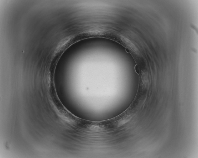 X0000099300494200805021234