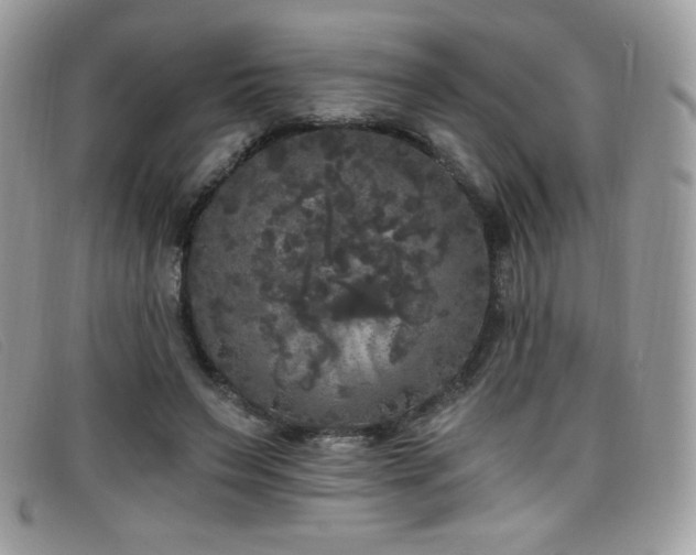 X0000099300495200805021234