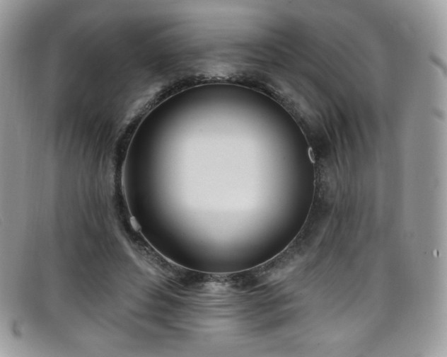 X0000099300496200805021234