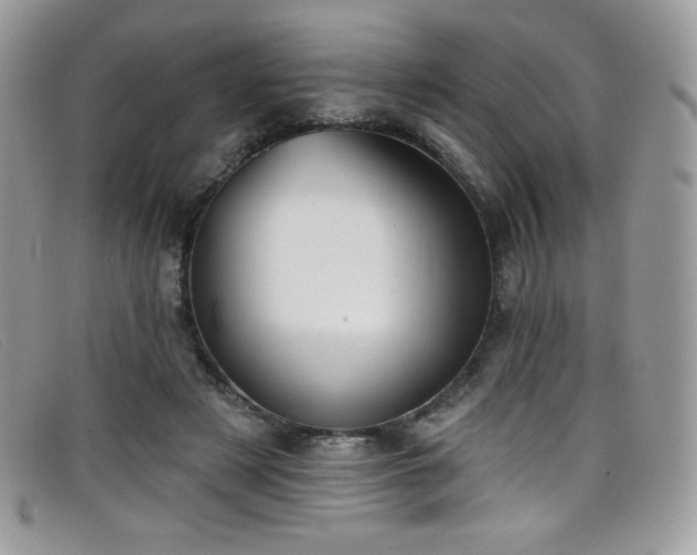 X0000099300497200805021234