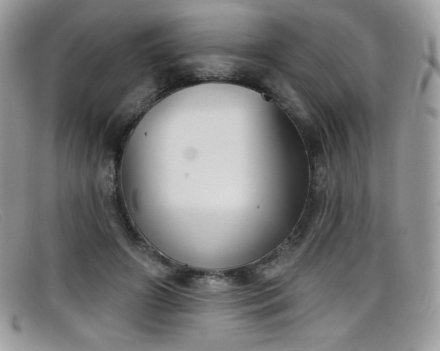 X0000099300498200805021234