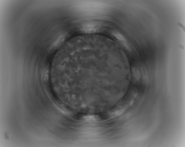 X0000099300499200805021234