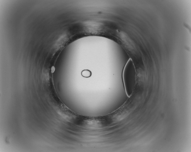 X0000099300500200805021234