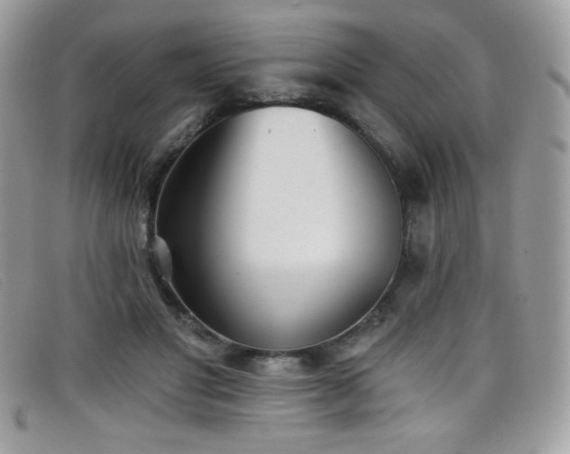 X0000099300501200805021234