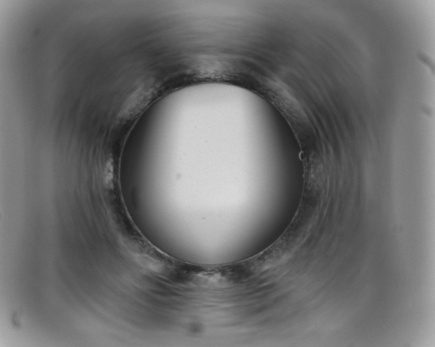 X0000099300502200805021234