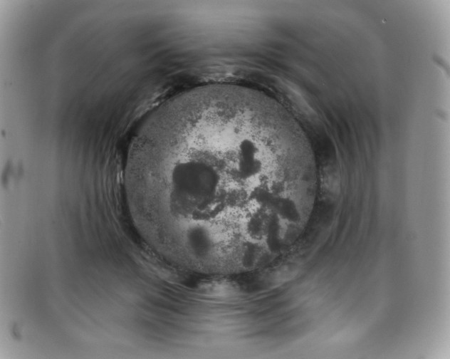 X0000099300503200805021234