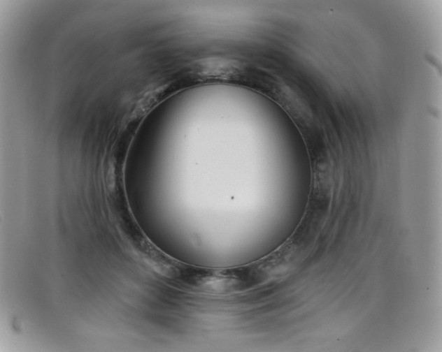 X0000099300504200805021234