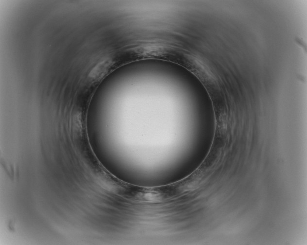 X0000099300506200805021234