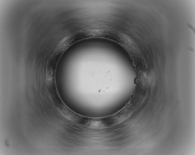 X0000099300507200805021234