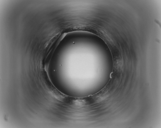 X0000099300508200805021234