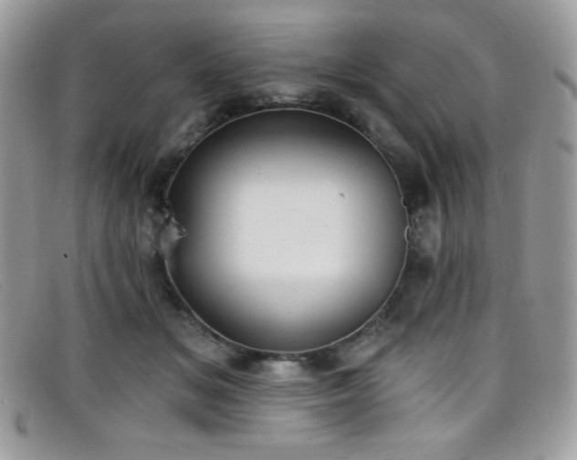 X0000099300509200805021234