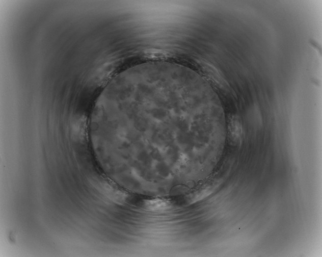 X0000099300511200805021234