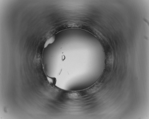 X0000099300513200805021234