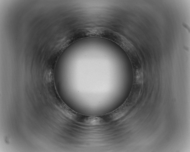 X0000099300514200805021234