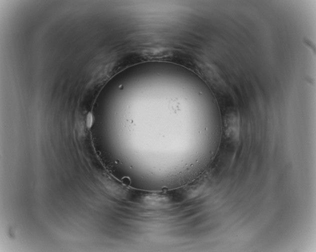 X0000099300515200805021234