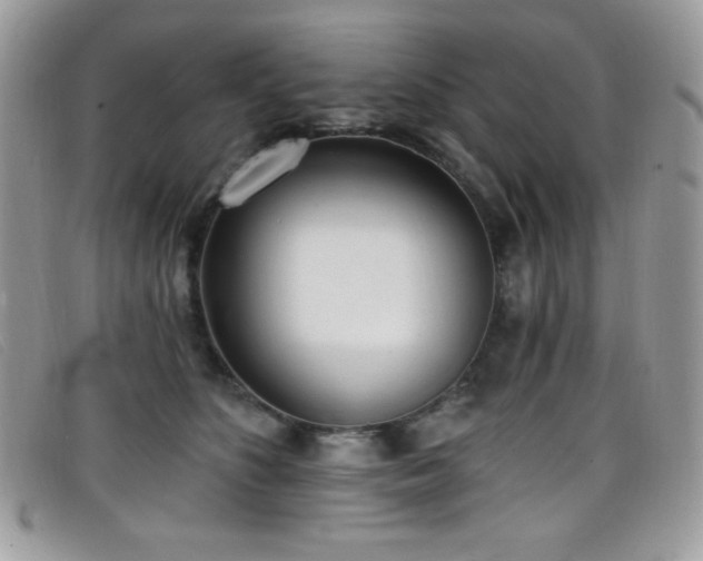 X0000099300516200805021234