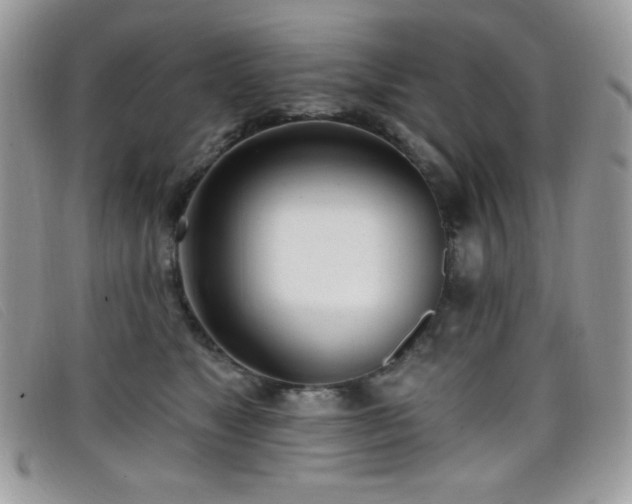 X0000099300517200805021234