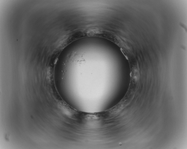 X0000099300519200805021234