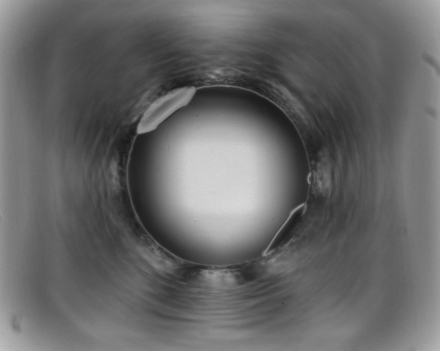 X0000099300520200805021234