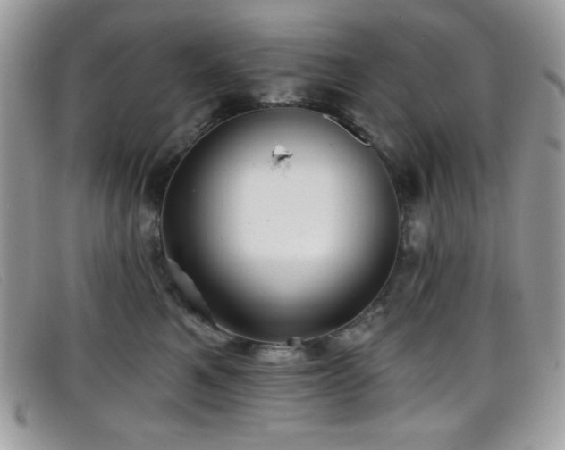 X0000099300521200805021234