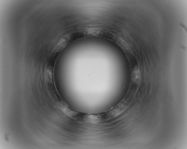 X0000099300522200805021234