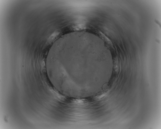 X0000099300523200805021234