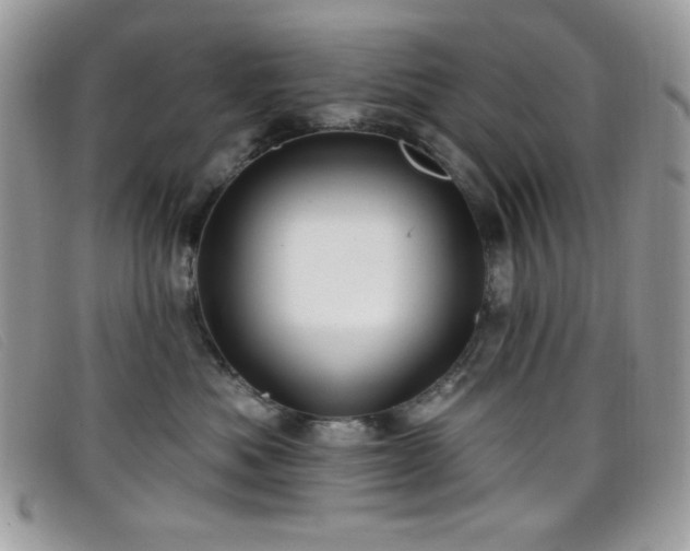 X0000099300525200805021234